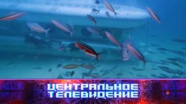 Выпуск от 29 марта 2025 года 29.03.2025