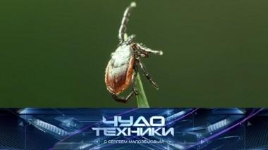 Что делать при укусах клещей, почему падают балконы и тест многофункционального чудо-пекаря 22.09.2018