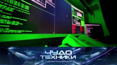 Интернет-мошенничества, туалет для кошек без наполнителя и запекание продуктов в фольге 30.01.2021