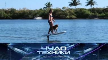 Водное развлечение на миллион, средства для мытья продуктов и кинезиотейпы 19.06.2021