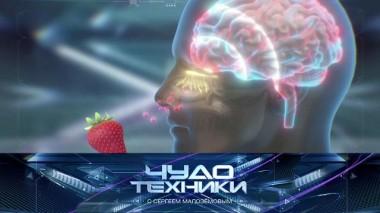 Восстановление обоняния после ковида и мультифункциональная лопата для дачи 03.09.2021