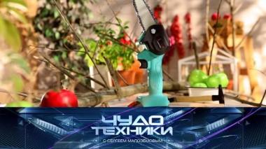 Гаджеты для дачи, риски использования «растущей» одежды и проверка устройства для худеющих 23.03.2024