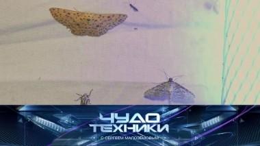 Лучшие средства от моли, выбор качественных батареек и патчи от отеков под глазами 22.03.2019