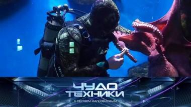 Устройство «умных» аквариумов и медузиумов, новая угроза от клещей и проверка универсальной электрощетки 18.05.2024