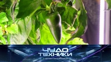 Вертикальные фермы, тест фитнес-браслетов и автоматический лоток для кошек 07.09.2019