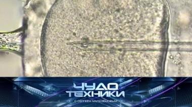 Все о процедуре ЭКО, выбор термобелья и тест набора для ремонта автостекол 30.11.2019