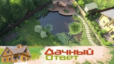 Живописная пристань на берегу пруда 06.07.2019