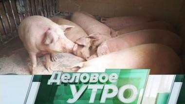 26 апреля 2018 года 26.04.2018