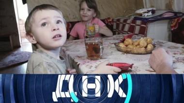 «Бабушкины дети?» 26.04.2023