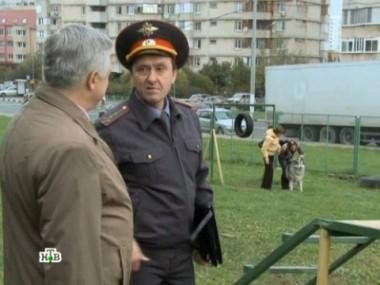 Чем не угодили соседям молодая женщина и ее собака? 28.10.2012