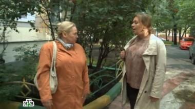 Молодая соседка пытается увести мужа у респектабельной дамы или все не так, как выглядит? 06.11.2013