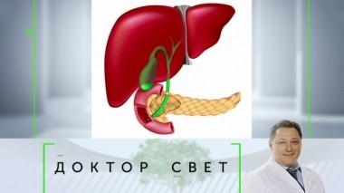 Главные функции печени и поджелудочной железы, а также - как уберечь ребенка от простуды 03.10.2019