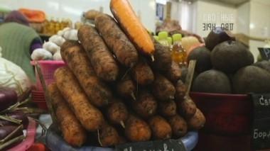 ГМО - за и против, тест на гуманность и действенные способы бросить курить 25.02.2017