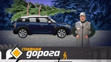 Бережная перевозка новогодней елки и итоги 2018 года 30.12.2018