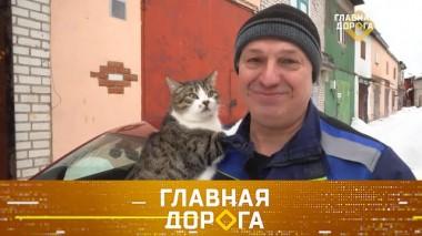 Коты на капоте и бесплатный ремонт, диагностика авто по звуку и тест Chery Tiigo 4 31.03.2023