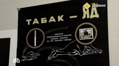 Курение за рулем, сбежал по амнистии, дорожная модернизация и отпор неприличной краске 01.03.2014