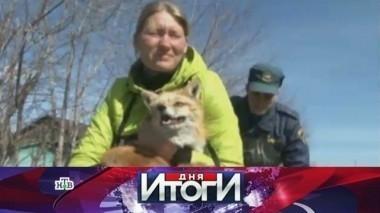 13 апреля 2016 года 14.04.2016