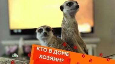 Выпуск десятый 23.03.2018