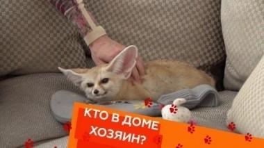 Выпуск девятый 15.03.2018