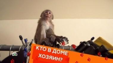 Выпуск одиннадцатый 29.03.2018