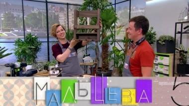 Стильная подставка для вина, дом на дереве для взрослых и коттедж без углов 15.11.2018