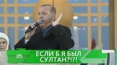 Если б я был султан?! 18.04.2017