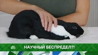 Научный беспредел?! 19.10.2018