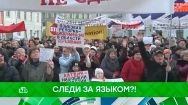 Следи за языком?! 05.04.2018