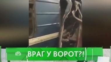 Враг у ворот?! 04.04.2017