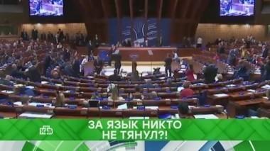 За язык никто не тянул?! 12.10.2017