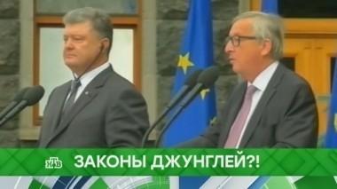 Законы джунглей?! 05.10.2017