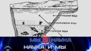 Через 10 лет наука объяснит все тайны воды? 21.03.2024
