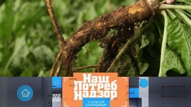 Почему французский хрен лучше русского, есть ли коронавирус на бананах и как сушить постиранные деньги? 14.03.2020