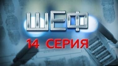 14-я серия 28.07.2015