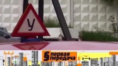 Автошкола, виновник ДТП, изучение ПДД, велосепедисты на дороге 30.05.2015
