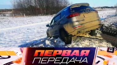 Сверхъестественное ДТП, опасный обгон «паровозиком» и автопутешествие с семейством кошачьих 13.04.2024