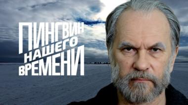 Пингвин нашего времени 22.11.2019