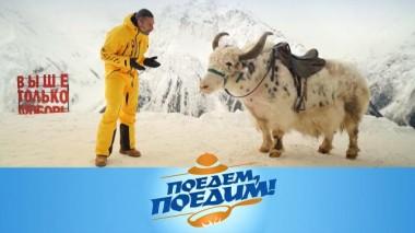 Домбай: яки модели, инопланетная гостиница, кавказское застолье и ногайский пирог 08.04.2022