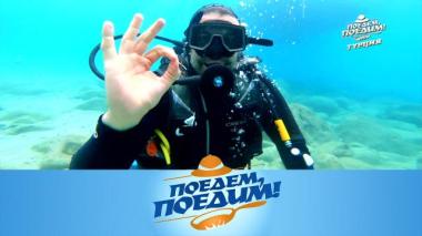 Турция: подводная экскурсия к затонувшему кораблю, ужин со скатами и всевозможные виды лукума 14.01.2026