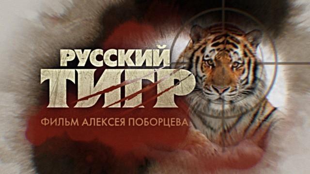 Русский тигр