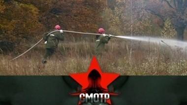 Будни Оборонлеса: как осуществляют свою деятельность защитники одного из главных богатств России? 08.12.2017