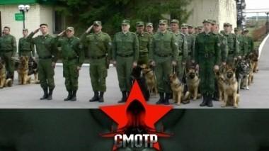 Вяземский кинологический центр ФСБ России - альма-матер пограничных собак 08.09.2017