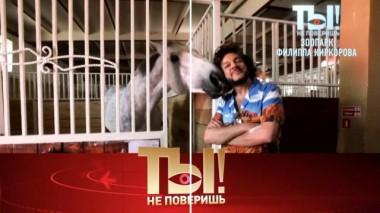 Кому Киркоров нанял психолога, война «Блестящей» с бывшем мужем, а также &mdash; любовник Анфисы Чеховой 08.10.2022