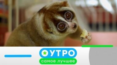 1 апреля 2019 года 31.03.2019