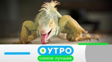 10 декабря 2019 года 09.12.2019