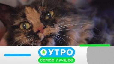 10 июля 2019 года 09.07.2019