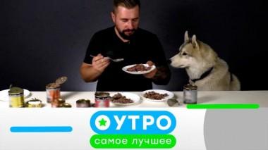 11 августа 2025 года 11.08.2025