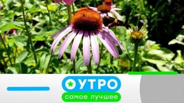 12 февраля 2025 года 12.02.2025
