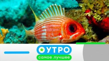 13 октября 2023 года 13.10.2023