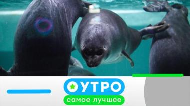 15 сентября 2025 года 15.09.2025